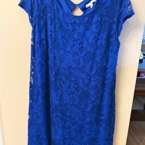 Women’s Lace Overlay Dress in Royal Blue